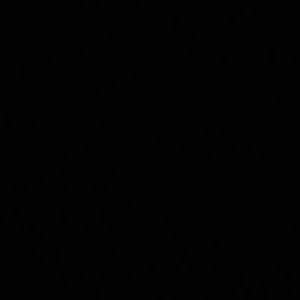 Meet your Posher, Letecia